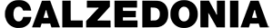 media/casos-exito/carrusel-home/logo-calzedonia-4.png